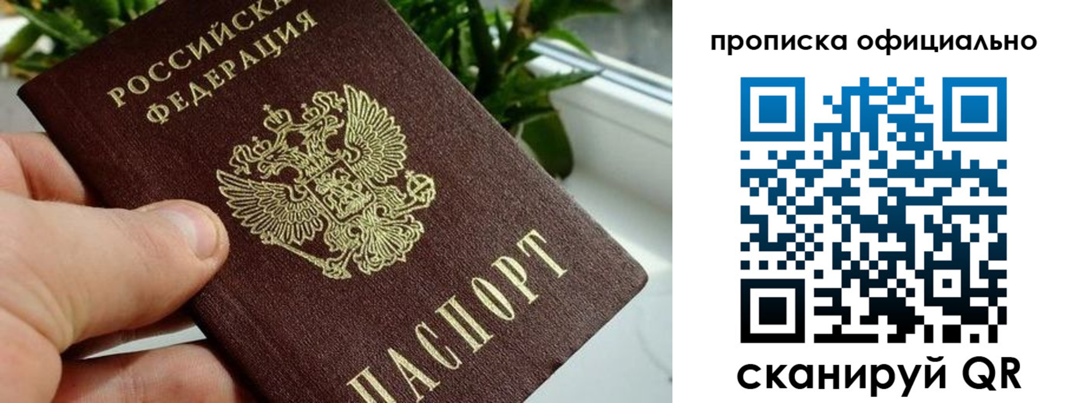 прописка поиск в Заозёрном